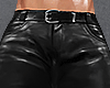 Pant