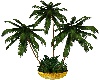 Plant Gold Pot