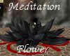 (KP)Meditation Flower