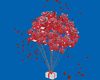 (IKY2) BALLOONS RED/P/R