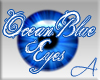 .A. Ocean Blue Eyes