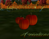 (T)Fall Pumpkins0