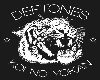 Deftones : KNY poster