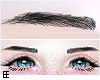 !EE♥ Eyebrows Bk