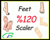Feet 120% Scaler