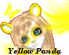 Yellow Panda Bear Bundle