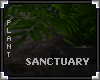 [LyL]Sanctuary Plant