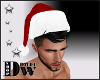 D- Sexy Santa Hat M