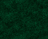 Slytherin Green Carpet