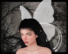 +Large Butterfly - white