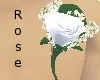 White Rose pinn