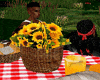 Parc Picnic Table