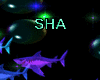 Shark Light