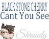 BlackStoneCherry-CYS