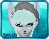 :C: Asoka Ears V2