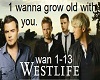 Westlife-grow old