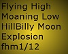 Flying High Moaning Low