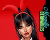 ! Christmas Bunny