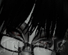 ☥ lyrbl bangs ☥