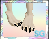 SG Canine Feet Male