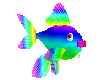 [S]Lil Fishy Rainbow