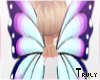 ° Butterfly Wings