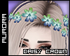 A| Daisy Crown - Island