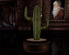 Country Xmas Cactus