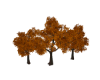 Autumn Fall Trees