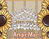 AM* Hanna Crown
