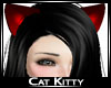 Kitty Cat
