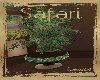 Safari Plant 1