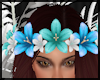 Flowers Crown V4 ~