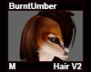 BurntUmber Hair M V2