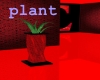 elegant e plant