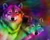 Rainbow Wolf Room