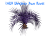 [HD]Dracanea Palm Plant