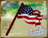 USA Handheld Flag