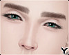 ► Basic Brows CF