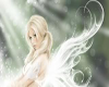 Fairys Wings
