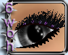 [6] Head 3 lashes purple