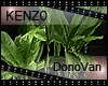 (K) :DonoVan:Pot Plant.I