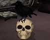 gothic skull and raven