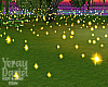 Beach Lights