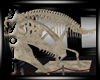 [Y] Dinosaur Skeleton I