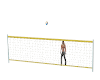 volley ball net
