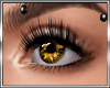 honey brown eyes