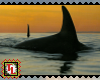 orcas stamp