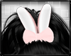 Bunny Doll Ears