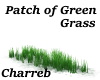 !Patch of Green Grass